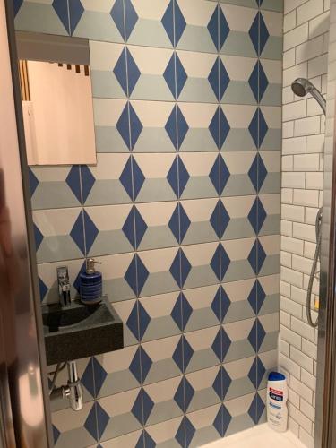 a bathroom with blue and white tiled walls and a sink at Tiny House Sedan in Sedan