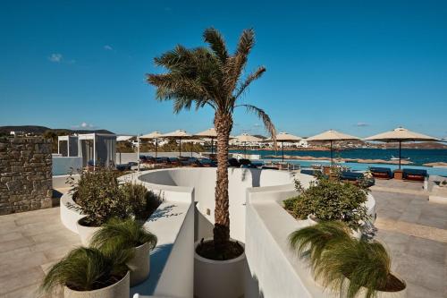 Paisaje cerca de este hotel