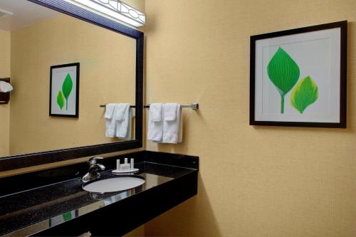een badkamer met een wastafel en een grote spiegel bij Fairfield Inn and Suites by Marriott Montgomery EastChase in Montgomery
