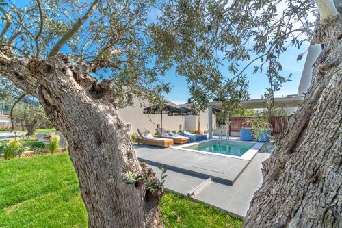a house with a swimming pool and a tree at Utopia Eco Retreat in Skiathos Town