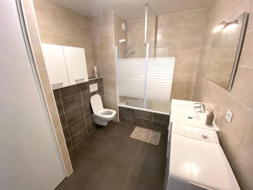 a bathroom with a toilet and a shower and a sink at Appartement T2 cosy centre ville in Thonon-les-Bains