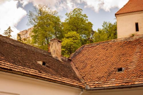 ブラショヴにあるBe Roomsの2棟の屋根の景色