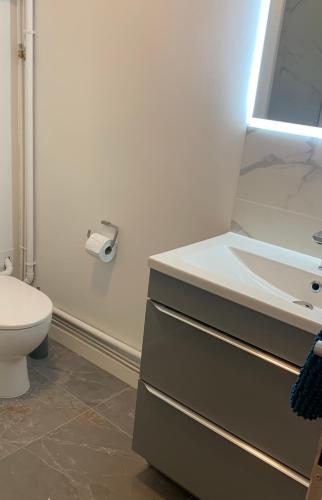 une salle de bain avec toilettes et lavabo dans l'établissement GRAND STUDIO AU CALME, à Nîmes