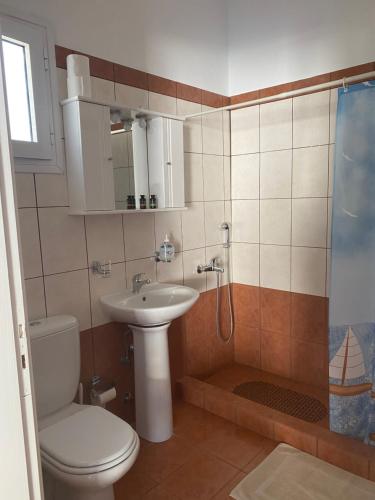W łazience znajduje się toaleta, umywalka i prysznic. w obiekcie Dream catcher 1 w mieście Agia Theodoti