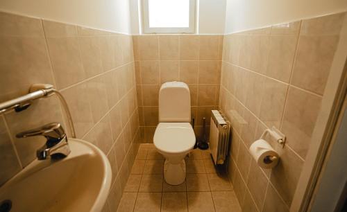 a small bathroom with a toilet and a sink at Kastani stay in City Center - with Sauna in Tartu