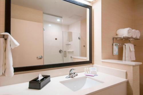 a bathroom with a sink and a large mirror at Fairfield Inn & Suites by Marriott San Antonio Brooks City Base in San Antonio