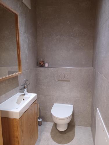 a bathroom with a white toilet and a sink at Weingut Königshofer in Neusiedl am See