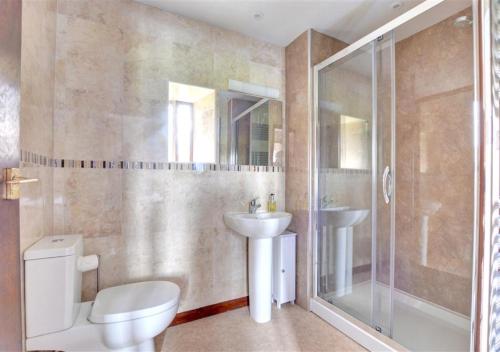 een badkamer met een toilet, een wastafel en een douche bij Oxnop Cottage in Gunnerside
