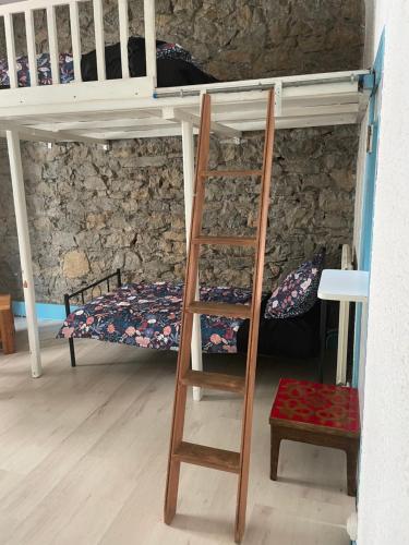- łóżko piętrowe z drabiną w pokoju w obiekcie Chez dada w Grenoble
