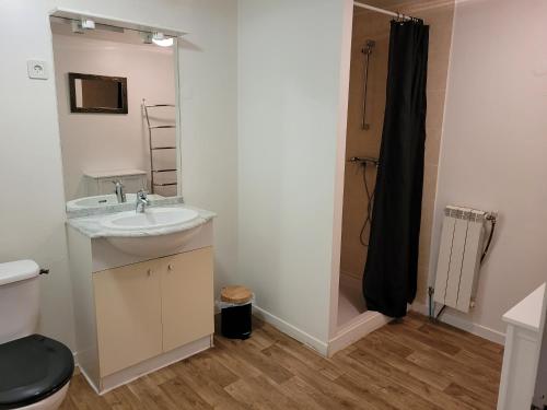 Et badeværelse på DOMAINE DE POULHARIES -Merlot