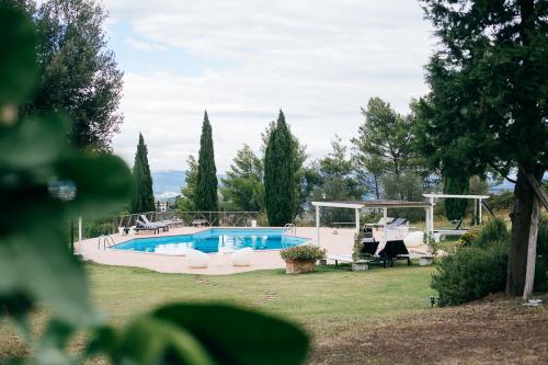 a large swimming pool in a yard with trees at Agriturismo Bellavista in San Miniato