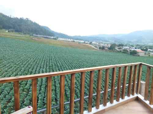 a balcony with a large field of plants at Villas Montelindo in Constanza