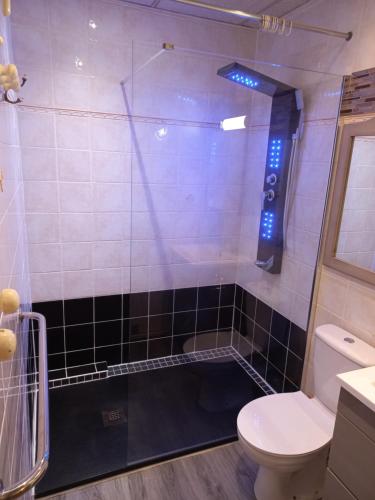 a bathroom with a shower with a toilet in it at Au Soleil Levant Homestay in Sarlat-la-Canéda