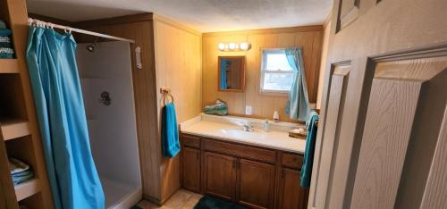 a bathroom with a sink and a shower at Millie`s Place in Luray