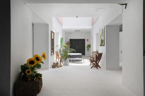 a white hallway with a vase of sunflowers at Brothers House in Arrecife