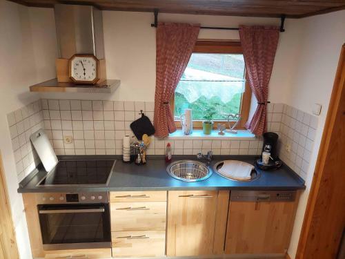 a small kitchen with a sink and a window at Ferienwohnung Eisbach Lamas in Wadern