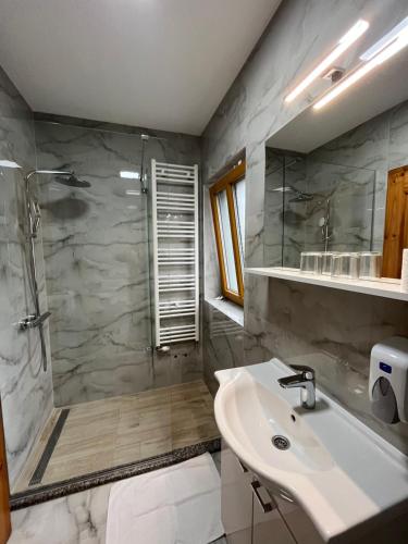 a bathroom with a shower and a sink and a toilet at Rustic Inn River 2 in Plitvička Jezera