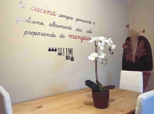 a room with a wall with the words ovarian surgery promise a patients adjustment six vets at La Casetta in Montefegatesi