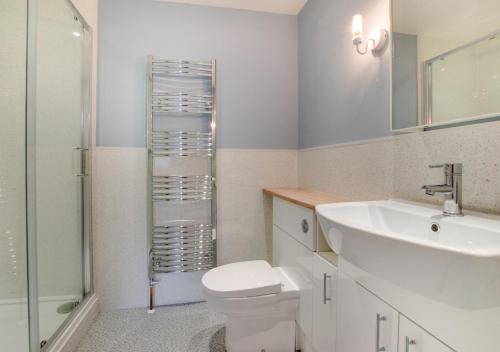 uma casa de banho com um lavatório, um WC e um chuveiro em St Mellyn em Mevagissey