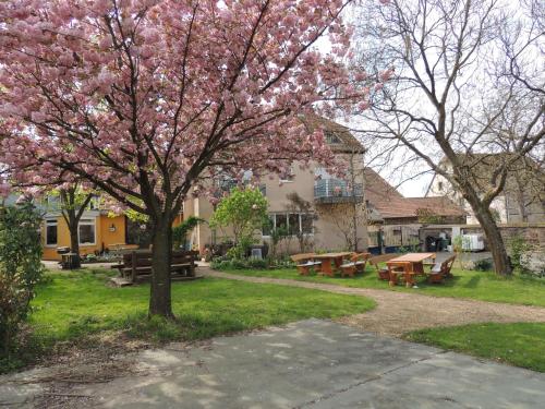 a park with picnic tables and a tree with pink flowers at Aux Deux Clefs in Petersbach
