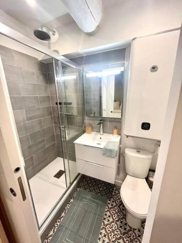 une petite salle de bain avec douche et toilettes dans l'établissement Cocon cosy au cœur du vieux Port, à Marseille