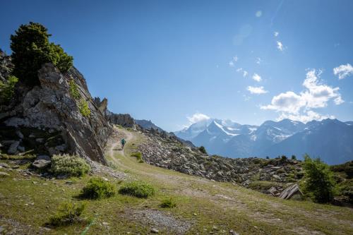 a person walking down a path on a mountain at Aktiv Hotel & Spa Hannigalp in Grächen
