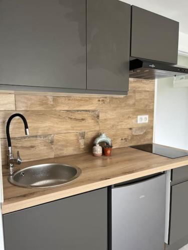 Il comprend une cuisine équipée d'un évier et d'un réfrigérateur. dans l'établissement Apt T2 neuf terrasse, à Arles