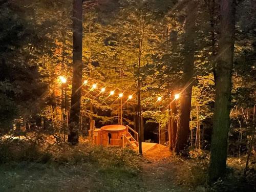 une table et des lumières dans une forêt la nuit dans l'établissement Loblolly Pines Adventure Aframe #2, à Eureka Springs