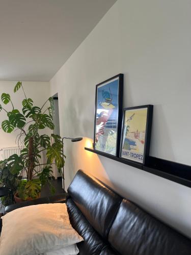 a black leather couch in a living room with plants at Le Vieux Moulin in Marche-en-Famenne
