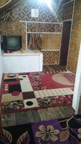 Zimmer mit einem Teppich auf dem Boden und einem TV in der Unterkunft Homestay hafizh in Pasirwangi