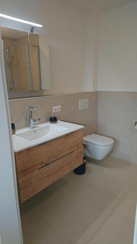 La salle de bains est pourvue d'un lavabo et de toilettes. dans l'établissement Ruhezeit, à Stockach