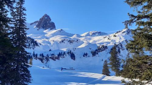 a mountain covered in snow with trees in the foreground at Chalet im Gus - Flumserberge & Walensee in Oberterzen