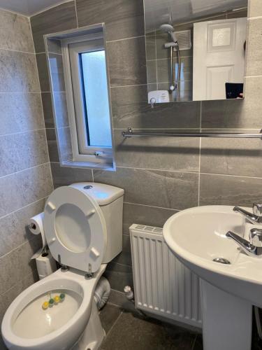 a bathroom with a toilet and a sink at The Hen House 