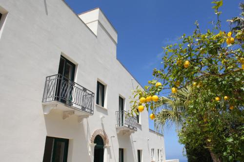 a white building with two balconies and an orange tree at VersoMare room & suite in Valderice