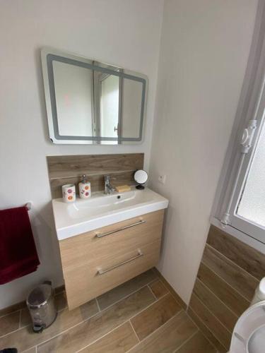 une salle de bain avec un lavabo et un miroir dans l'établissement Studio lumineux de 35m2 au cœur de Solesmes, à Solesmes