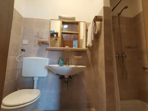 a bathroom with a toilet and a sink and a shower at Apartment Studio Zvonka in Zambratija