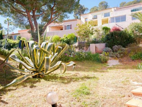 Maison familiale sous les palmiers de Hyères