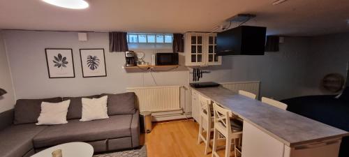 kuchnia i salon z kanapą i ladą w obiekcie 4-bäddsrum Hultsfred w mieście Hultsfred