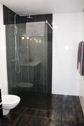 a bathroom with a glass shower with a toilet at Apartamento Esquilo - Casas Barca do Rio - Gerês in Geres