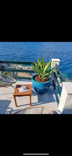 BEACH HOUSE ZECJA – Photos 2