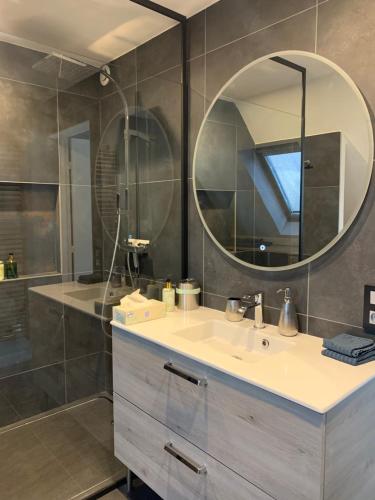 bagno con lavandino e specchio di Spacieux loft en duplex a Strasburgo