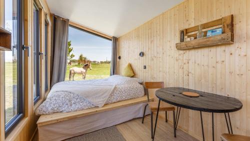 ein Schlafzimmer mit einem Bett und ein Fenster mit einem Pferd im Freien in der Unterkunft Tiny House haras Normand - 20 minutes d'Étretat 