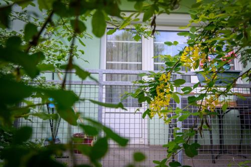 a window in a house with a bunch of flowers at Erika Apartman in Sárvár