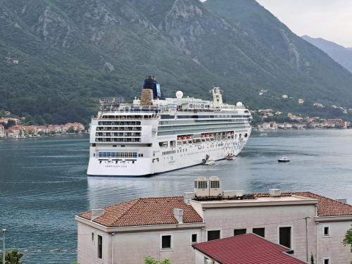 a cruise ship is docked in the water at Apartments Dragan in Kotor
