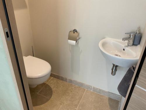 a bathroom with a toilet and a sink at LOGIS DU FAUBOURG petite maison de charme, tranquille, calme et lumineuse in Val-de-Mercy