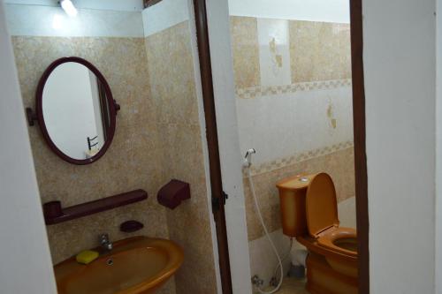 a bathroom with a sink and a mirror and a toilet at Paradisia Holidays Mauritius in Trou dʼ Eau Douce