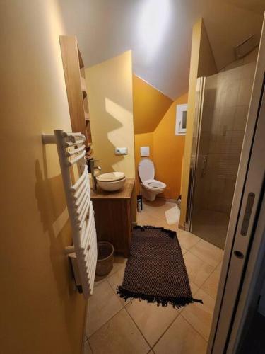 y baño con aseo, lavabo y ducha. en La Maison des Schtroumpfs, en Pau