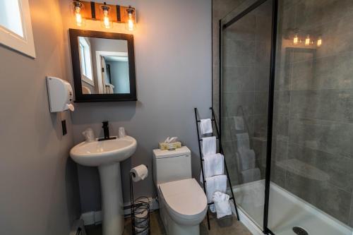 a bathroom with a toilet and a sink and a shower at Motel Rimouski in Rimouski