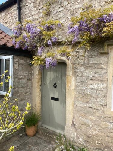 a stone house with purple flowers above the door at Maplestone in Shepton Mallet