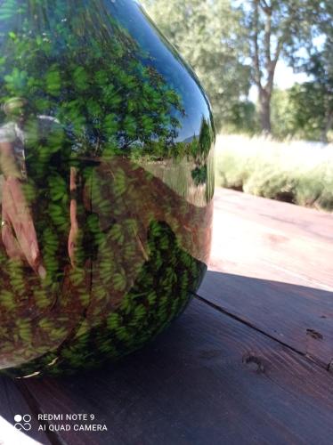 a close up of a vase with a plant in it at Terrae Eremis: Ristorante, Bar, B&B in Roccamorice